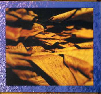 2CD Nothing But Noise: Not Bleeding Red