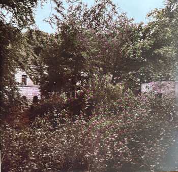 LP :Of The Wand & The Moon:: Your Love Can't Hold This Wreath Of Sorrow CLR | LTD