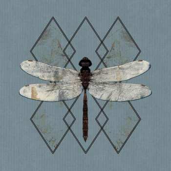 Album OHHMS: Close