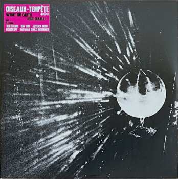 Album Oiseaux-Tempête: What On Earth (Que Diable)