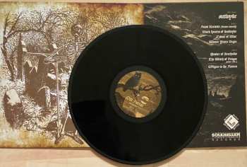 LP Old Forest: Sutwyke LTD