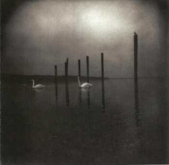 CD Om: Conference Of The Birds