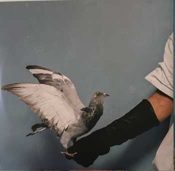 LP Omar Apollo: God Said No CLR | LTD