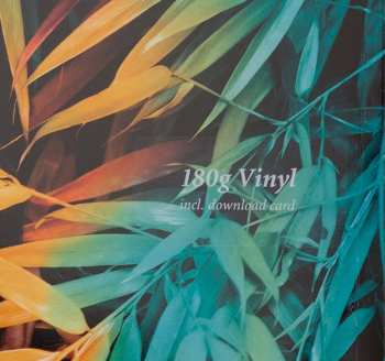 LP Omer Klein Trio: Radio Mediteran