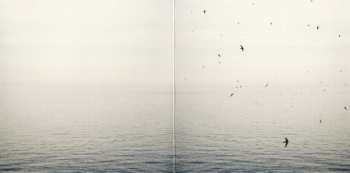 CD On: Your Naked Ghost Comes Back At Night