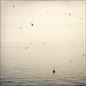 CD On: Your Naked Ghost Comes Back At Night