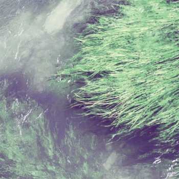 CD On An On: Give In DIGI