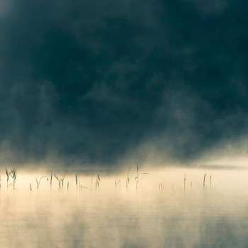 CD Oneirogen: Convivium