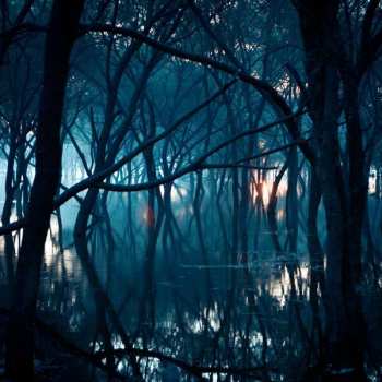 CD Oneirogen: Kiasma