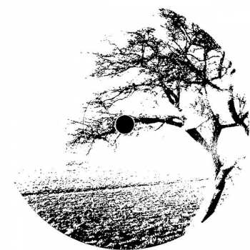Album LoSoul: Open Door