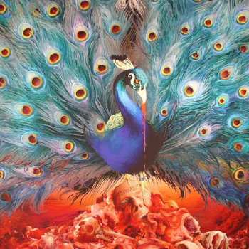 2LP/2CD/DVD/Caja Opeth: Sorceress LTD | DIGI