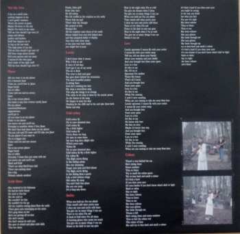 2LP Orange Baboons: 100% Homeless LTD | CLR