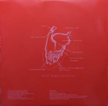 2LP Orbital: Orbital CLR