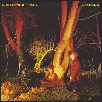 5CD/Caja Echo & The Bunnymen: Original Album Series
