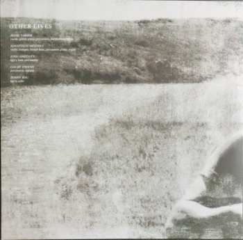 LP Other Lives: Tamer Animals LTD | CLR