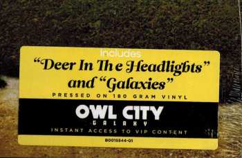 LP Owl City: All Things Bright And Beautiful