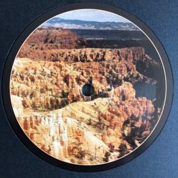 LP Pablo van de Poel: Americanalog