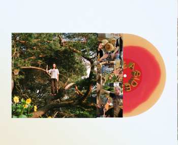 LP PACKS: Melt The Honey CLR | LTD