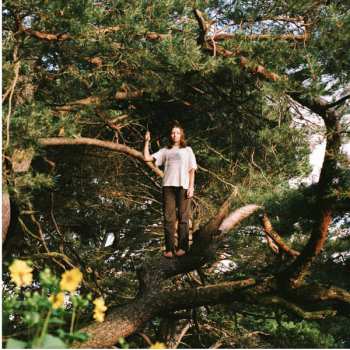 LP PACKS: Melt The Honey CLR | LTD