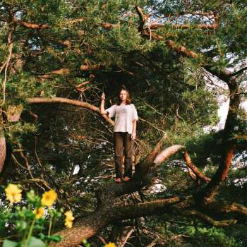 LP PACKS: Melt The Honey