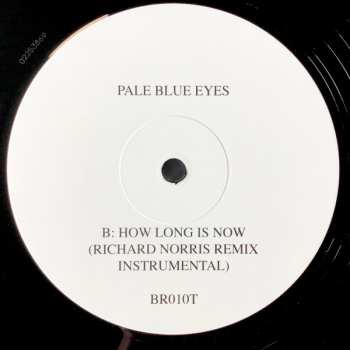 LP Pale Blue Eyes: How Long Is Now LTD