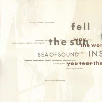 LP Pale Saints: The Comforts Of Madness