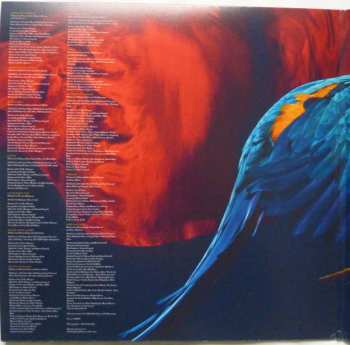 2LP Paloma Faith: Fall To Grace