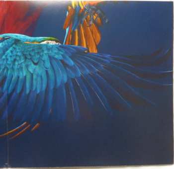 2LP Paloma Faith: Fall To Grace