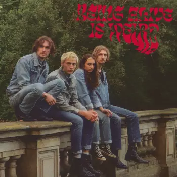 Paloma & The Matches: Being Alive Is Weird