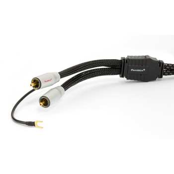 Técnica de áudio Pangea Premier Xl Phono 1,25m