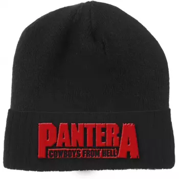 Gorra Cowboys From Hell