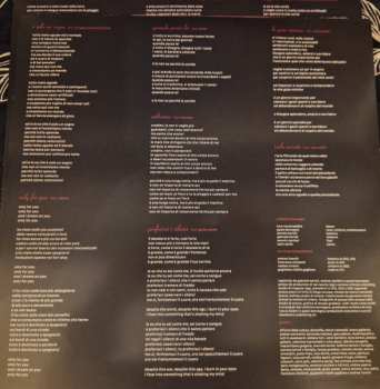 2LP/Caja/MC Paolo Benvegnù: Piccoli Fragilissimi Film Reloaded DLX | LTD | NUM