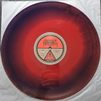 LP Paranorm: Empyrean