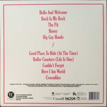 LP Partner: Never Give Up LTD