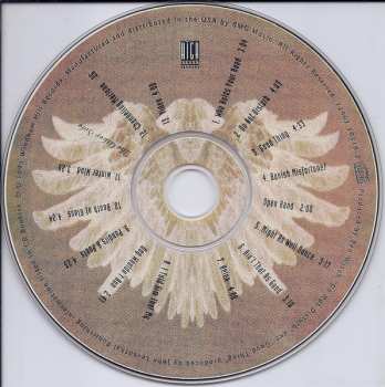 CD Patty Larkin: Angels Running