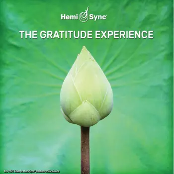The Gratitude Experience
