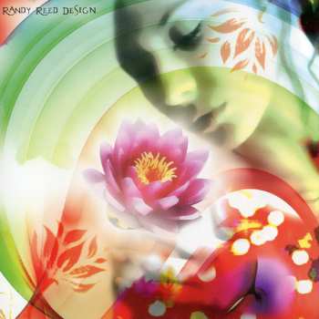 CD Paul Avgerinos: Law Of Attraction