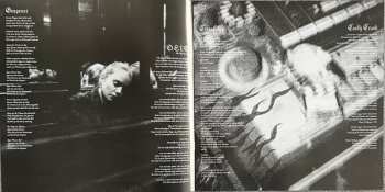 LP Paula Hartmann: Kleine Feuer CLR