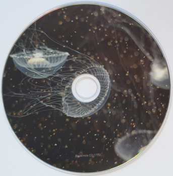 2CD Pavel Khvaleyev: Sonder