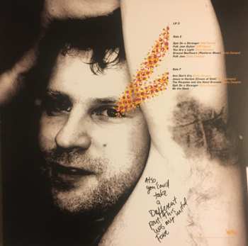 4LP/Caja Pavement: Terror Twilight: Farewell Horizontal LTD