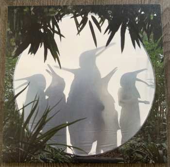 Album Penguin Cafe: Rain Before Seven...