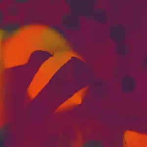 Perfect Body/zac White: Fields/spent On You