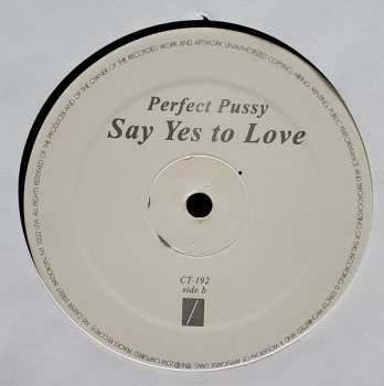 LP Perfect Pussy: Say Yes To Love