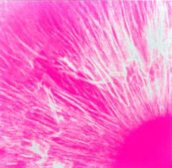 4LP/2CD/Caja/Blu-ray Peter Gabriel: I/O DLX | LTD