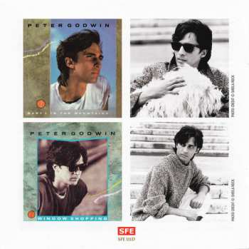 2CD Peter Godwin: The Polydor Years