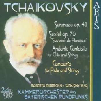 CD Peter Iljitsch Tschaikowsky: Serenade Für Streicher Op.48