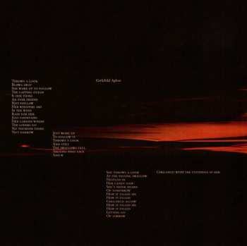 CD Peter Murphy: Dust