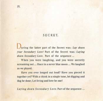 CD Peter Murphy: Secret Bees