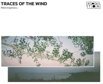 Traces Of The Wind