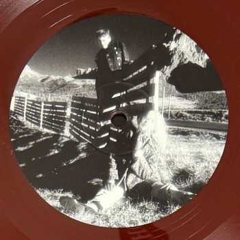 2LP Phillip Boa & The Voodooclub: Hair CLR